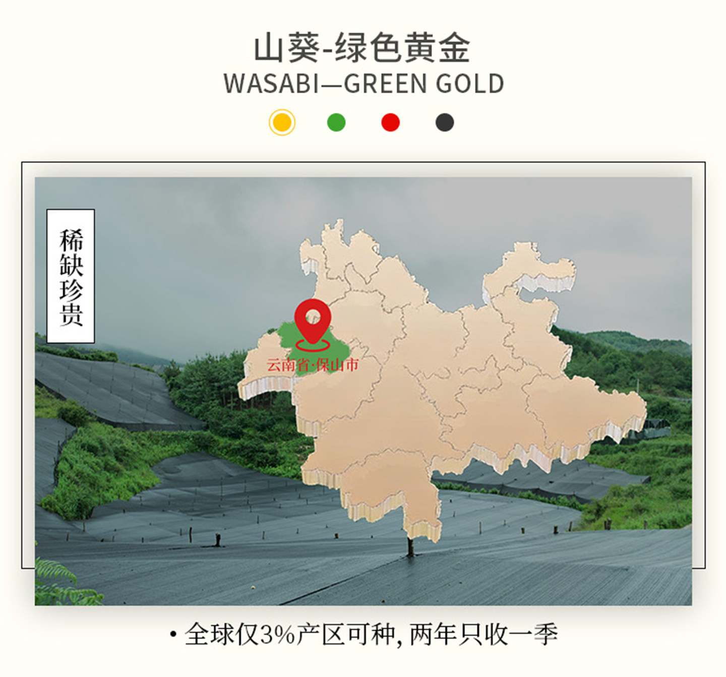安享好物 安享S级芥末-本山葵山葵酱 企标