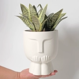 Вегетарианский абстрактный цвет лица лица лица, форма формы цветочного горшка, водяного бассейна, корень для управления водой, зеленое растение, многопрофильные растения в горшках Diy Hetinge Pottery Pot