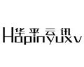 华平云讯企业店