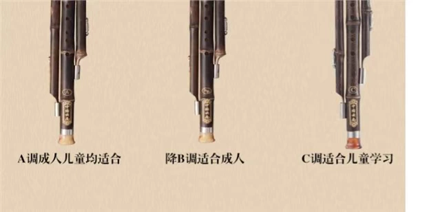 Loại biểu diễn chuyên nghiệp Nhạc cụ dành cho người lớn ba giai điệu Hulusi Sơ cấp Học sinh tiểu học Hulusi B phẳng A C C - Nhạc cụ dân tộc