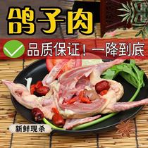 Fresh pigeon meat freshly killed pigeons free-range native pigeons Yuanbao pigeon soup fresh pigeons No. 1