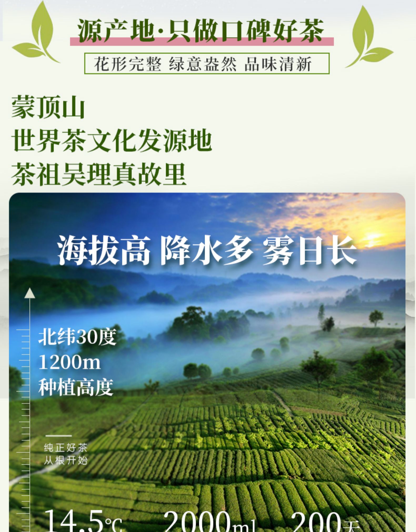 天蜀 蒙顶山茉莉花茶 50g 蒙山毛峰绿茶+横县茉莉花 图14