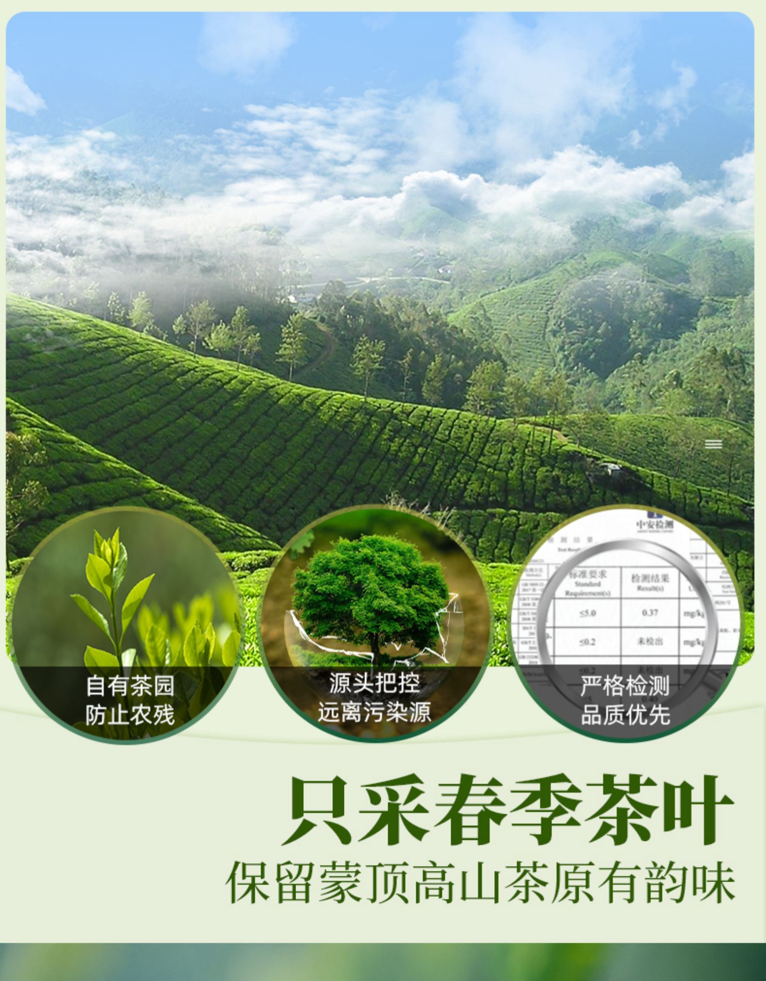 天蜀 蒙顶山茉莉花茶 50g 蒙山毛峰绿茶+横县茉莉花 图16