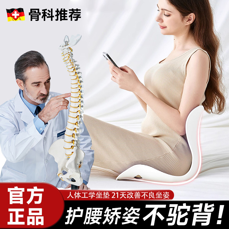 护腰坐垫椅成人坐姿矫正器办公久坐神器含胸驼背腰靠人体工学座椅