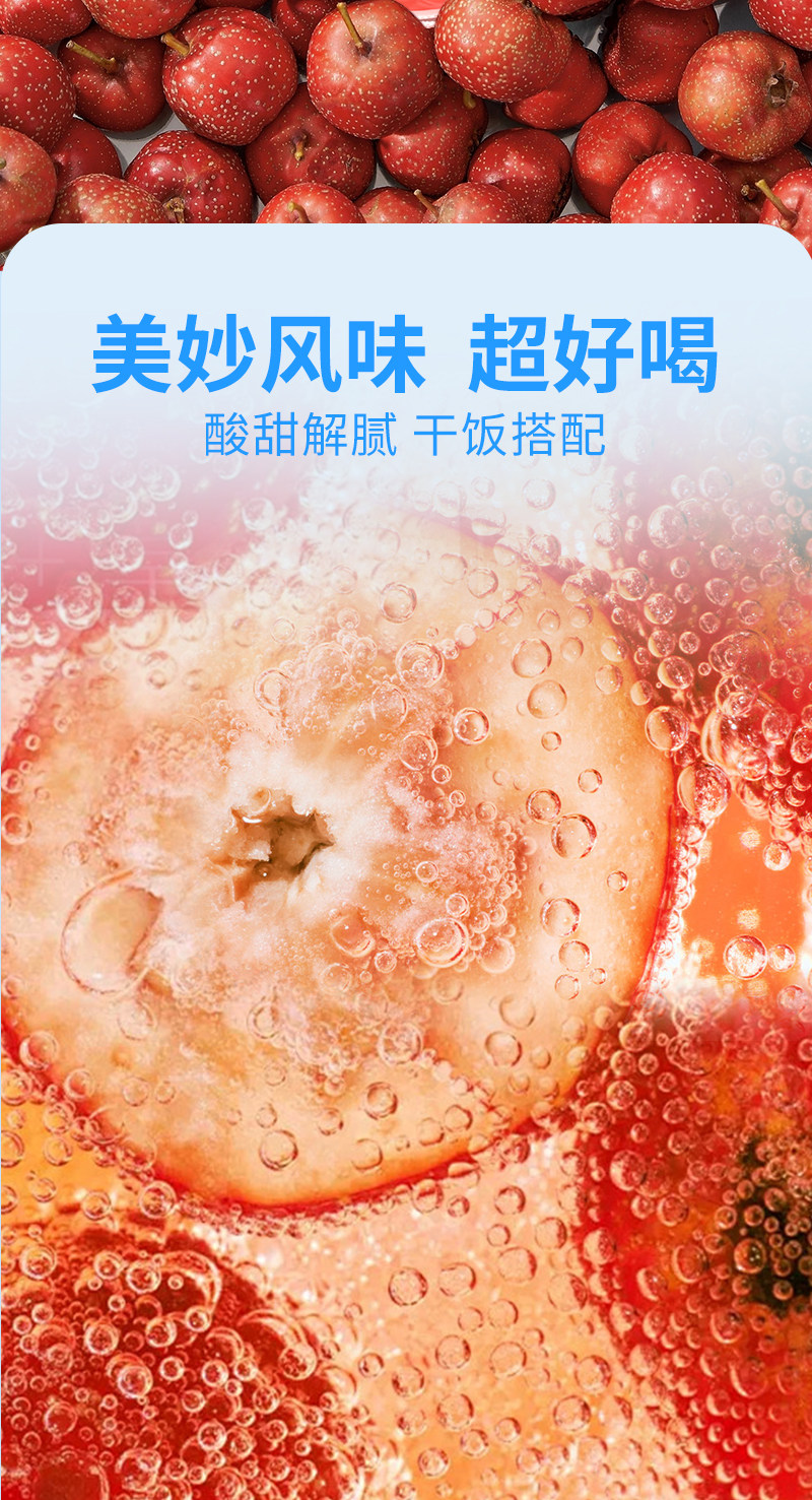 安享好物 安享C级碳酸饮料-华洋山楂汽水 国标 