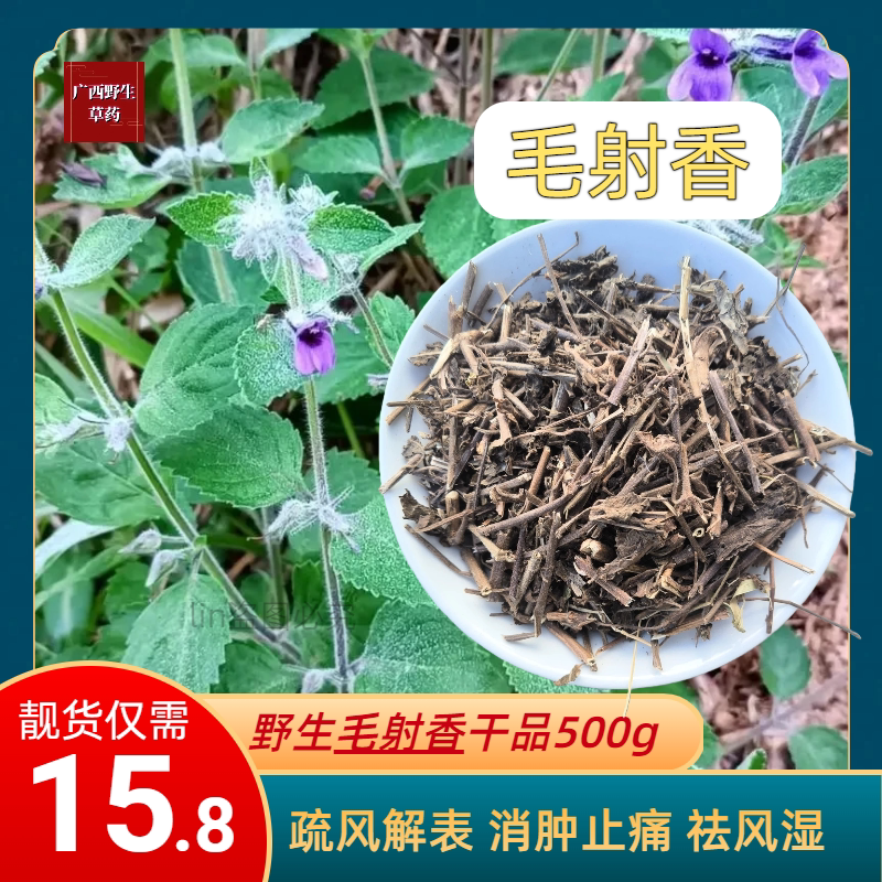 Authentic Wild Huizicai (Maoxie Xiangcao) - Maohuo (Five Cooling Herbs) - Selected Dried Product 500g - Maoxie Xiangcao