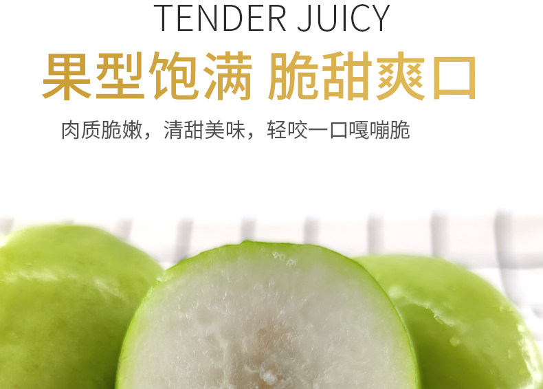 云南牛奶青枣 5斤 新鲜现摘 图3