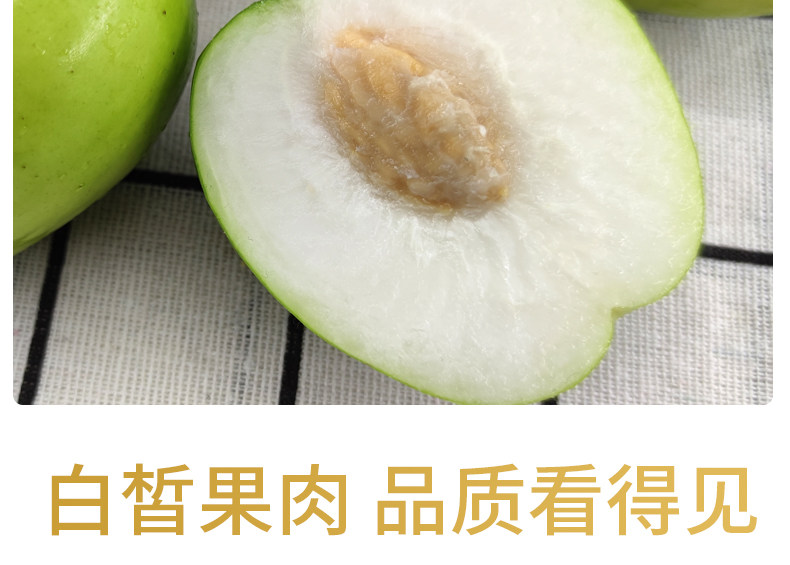 云南牛奶青枣 5斤 新鲜现摘 图6
