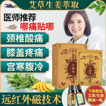  Hanfu Bao Ai hot moxibustion paste Shunzhitang wormwood knee shoulder neck cervical spine lumbar spine paste Self-heating joint pain paste