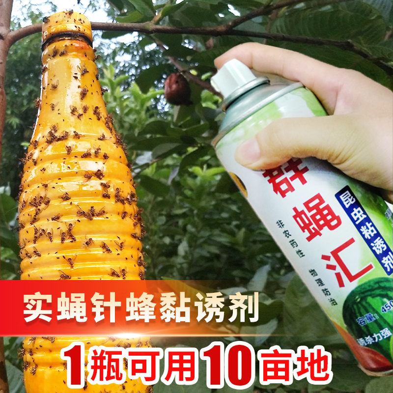 Group fly sink fruit fly trap insect physical yellow board double-sided sticky board needle bee to lure melon fruit fly attractant