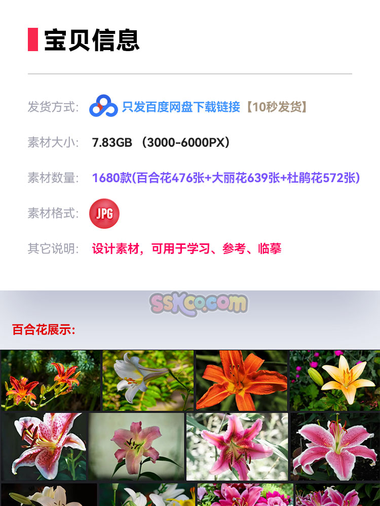 高清百合花杜鹃花大丽花唯美花卉摄影照片4K壁纸背景图片设计素材插图1