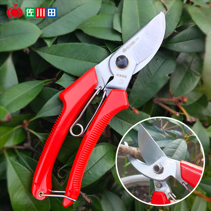 Zokugawa field 120A fruit trees prunes cut branches cut twigs cut twigs cut garden labor-saving pruning coarse branch scissors