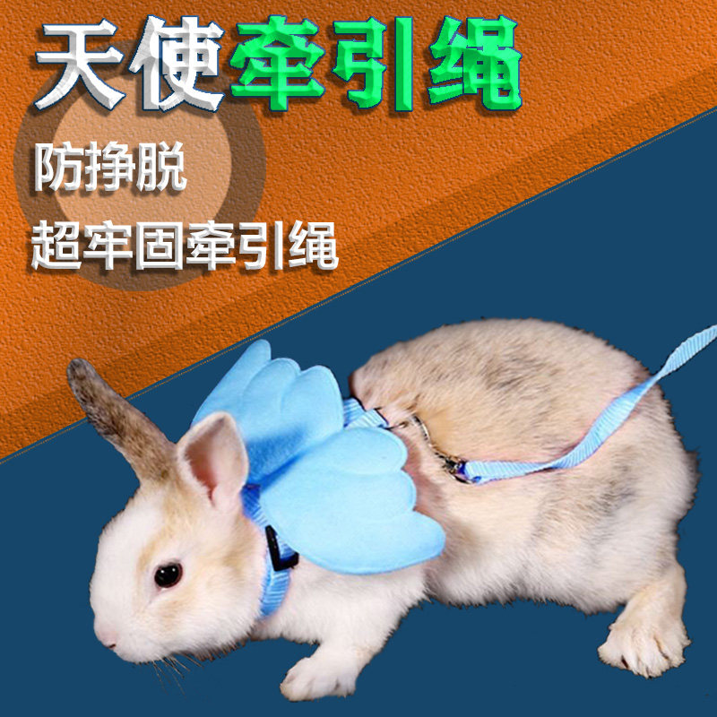 Rabbit traction rope anti-break free adjustable special chain pet rabbit rabbit chinchilla go out retractable rope slip rabbit rope