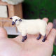 Simulated animal model children's toys lamb sheep goat set farm pasture ornaments baby early education cognition