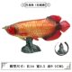 Children's Toys, Simulated Animal Models, Marine Freshwater Fish, Dragonfish, Salmon, Giant Snapper, Angelfish, Guppy, Eel
