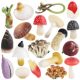 Children's Toys Simulation Mushroom Model Shiitake Mushroom Oyster Mushroom Red Umbrella Mushroom Shiitake Mushroom Matsutake Mushroom Ornaments Baby Early Education Cognition