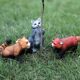 Children's Toys Realistic Solid Animal Model Mini Raccoon Small Raccoon Red Panda Early Education Cognitive Doll Ornament
