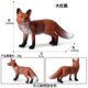 Children's Toys Simulated Animal Models Solid Wild Fox White Fox Arctic Fox Red Fox Set Small Ornaments