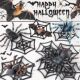 Children's Cognitive Toys, Simulated Animal Models, Insects, Solid Rainforest Black Spider, Tarantula, Bird-Eating Spider, Peacock Spider