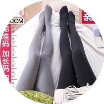 Steel Wire Mask Socks Lengthened Plus Gear 200D Anti Hook Silk Socks Spring Autumn Winter Mid Thick Meat Color Light Leg Even Pants Socks