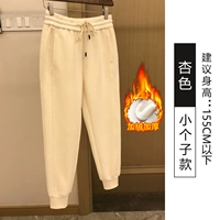 Apricot-Small [Супермягкий цельный бархат чернобурки]