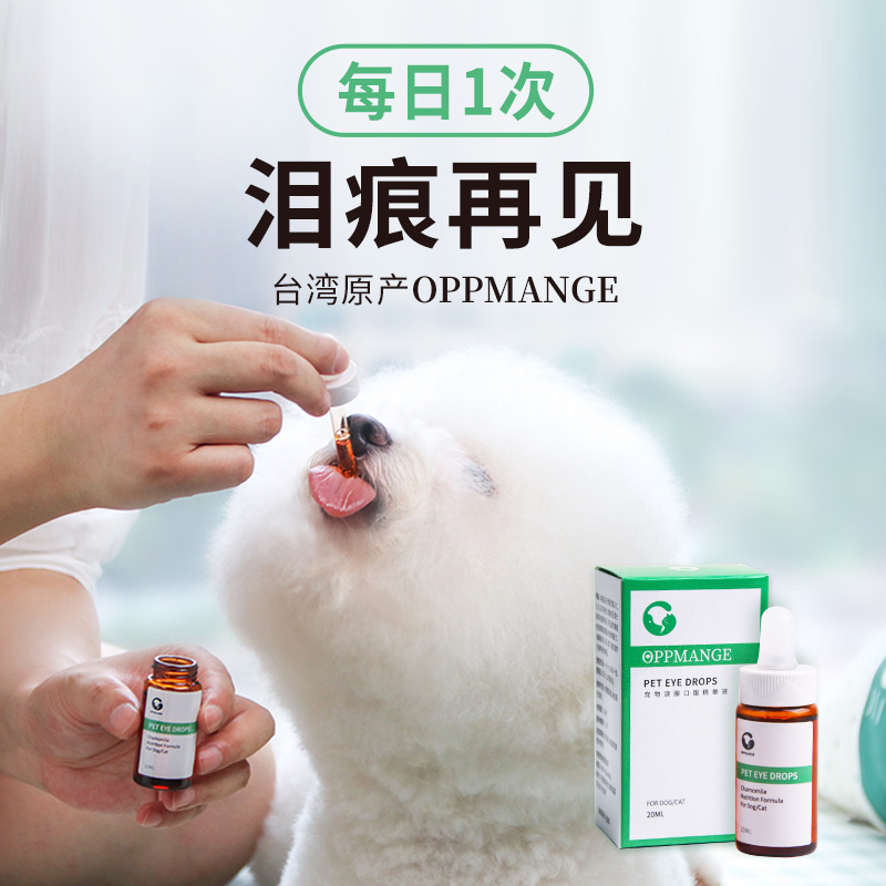 Taiwanese puppies go to tears, tears in the eyes, tears of oral essence more than a bear boomegamie cat nutrient solution
