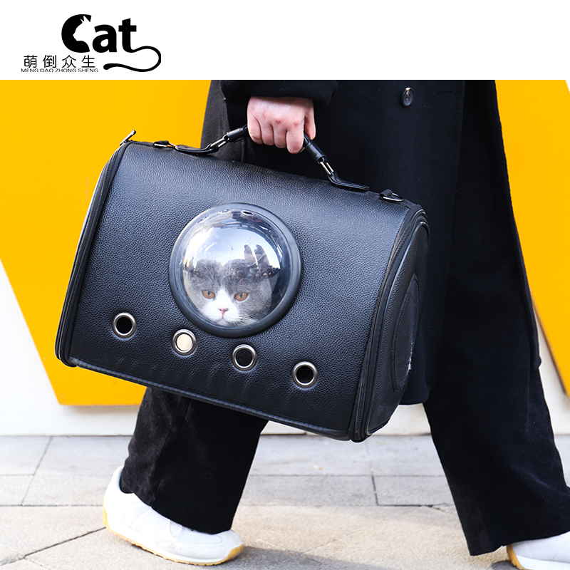 Cute cat bag out portable crossbody cat backpack pet handbag space capsule dog transparent schoolbag