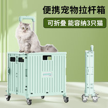 Light machine hearty foldable pet cat bag trolley Puppy kitty Outgoing Pull Rod Box Small Pet Shopping Cart