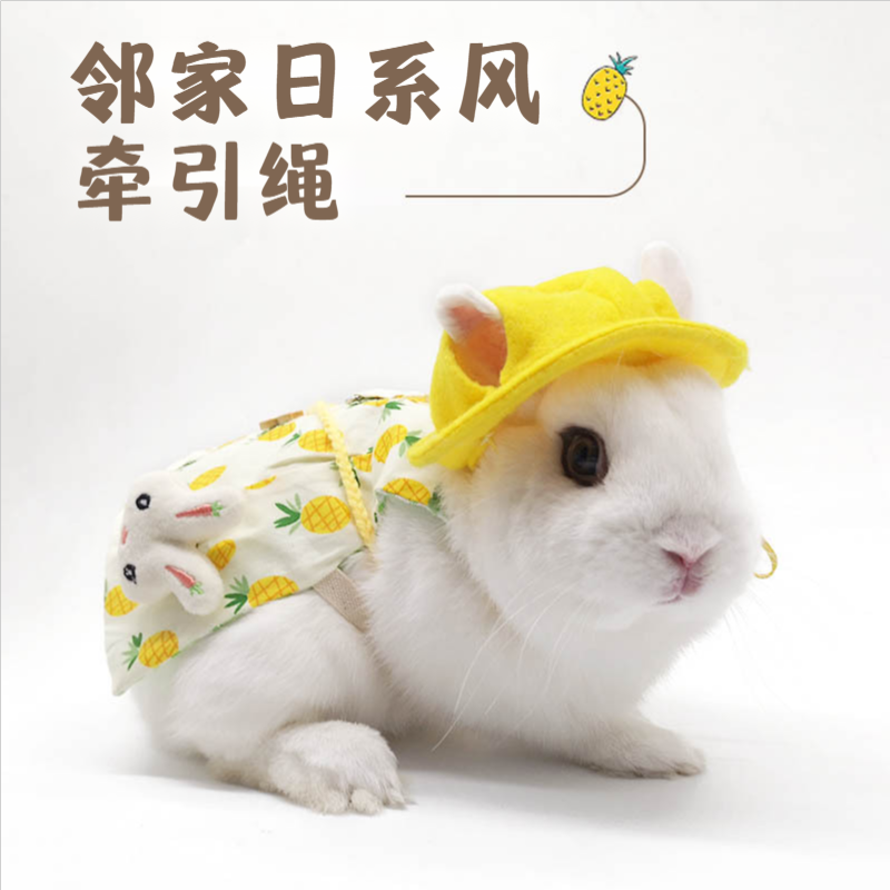 Amazon Pet Rabbit Clothes Rabbit Rabbit Cat Lop Ear Rabbit Decoration Clothes Traveling and Taking Photos