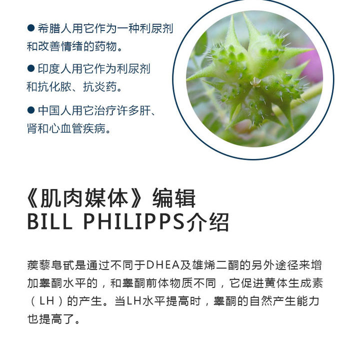 【美国进口】天然增肌睾酮素100粒