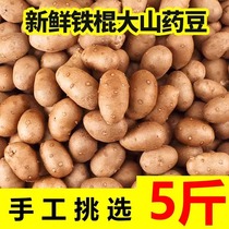 河北新鲜铁棍山药豆5斤当季现摘农家铁杆小山药现摘蔬菜整箱3