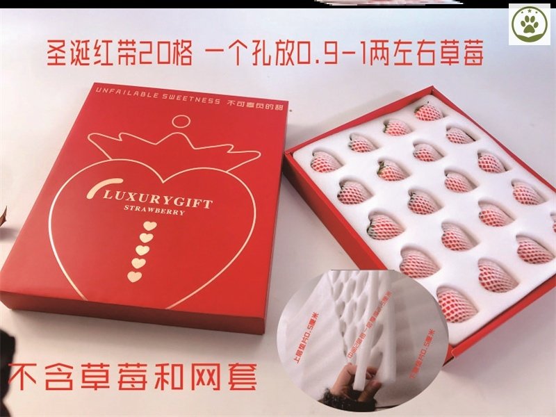 Strawberry Packaging Box Express Special Foam Box Transport Box Gift Box with Tray Universal Portable Style Customization