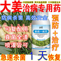 Special medicine for ginger ginger fungicide ginger stem rot soft rot ginger blast stem tip yellow leaf disease spots general purpose