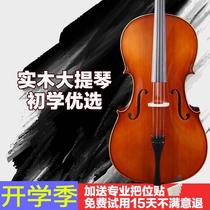 High-end antique hand-made cello for high-school-grade children. Beginners pick up the whole solid wood door instrument and send it into the piano.