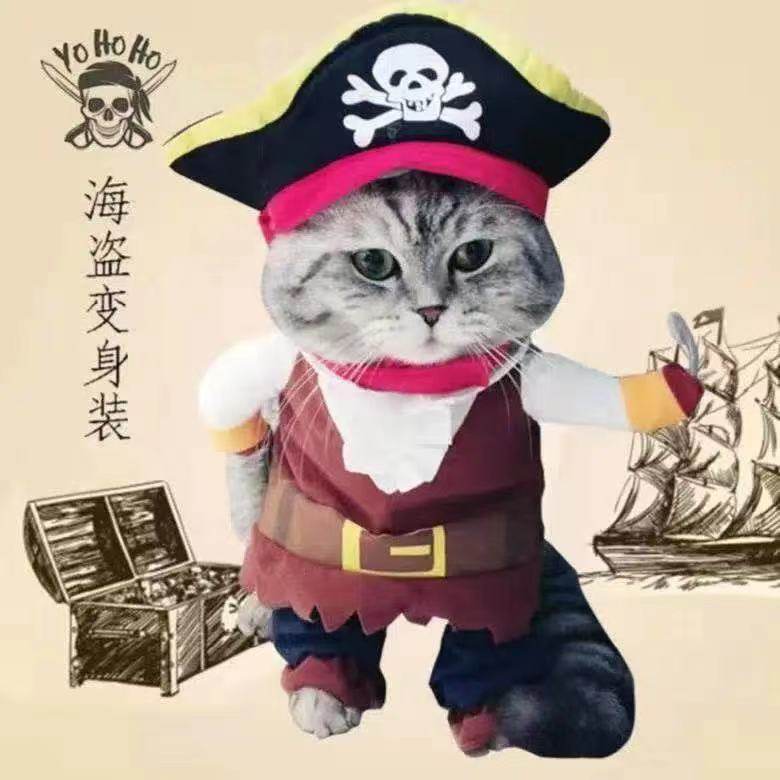 Pet dog dog cat funny dress stand clothes and clothes to be dressed red stereo dress funny cute