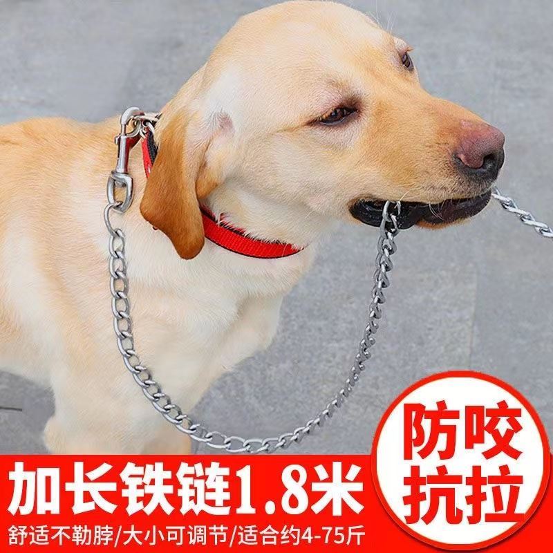 Dog traction rope chain anti-bite Teddy Golden Hair Walking Dog Rope Outdoor Pet collar Size Dog necklace