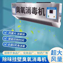 Wall-mounted ozone generator sterilizer food factory workshop garbage classification room commercial sterilization deodorization and purification