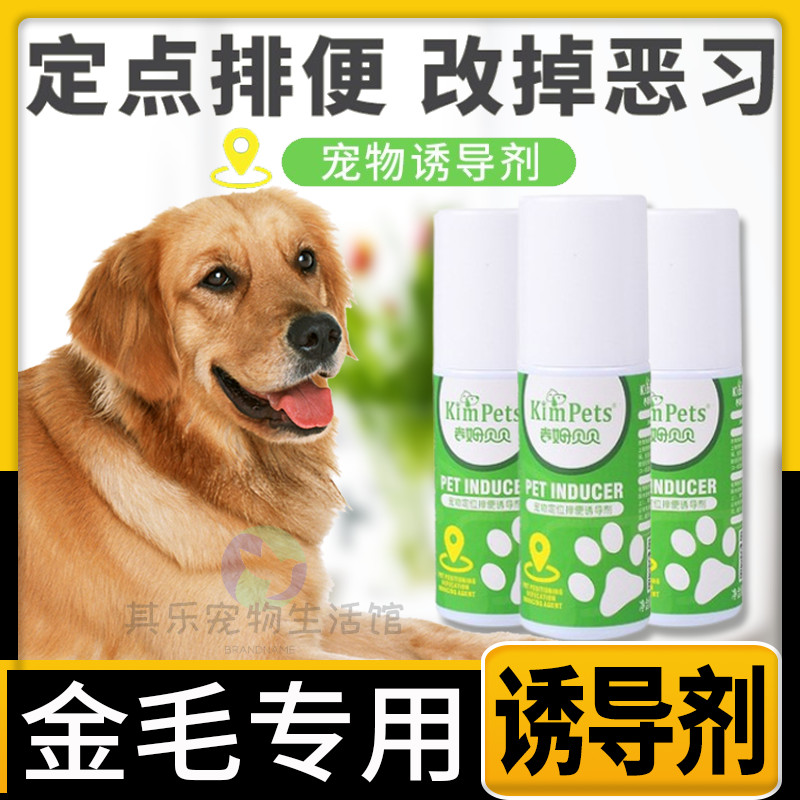 Golden hair special convenience training supplies dog fixed toilet pot-inducing agent size urine guided artifact