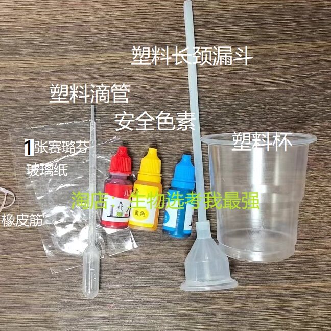 半透膜渗透实验装置玻璃纸赛璐玢渗透作用渗透现象跨膜运输生物