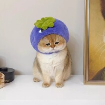 Sure enough cute pet cats and dogs original fruit head doll clothes 20CM cotton doll clothes accessories hat