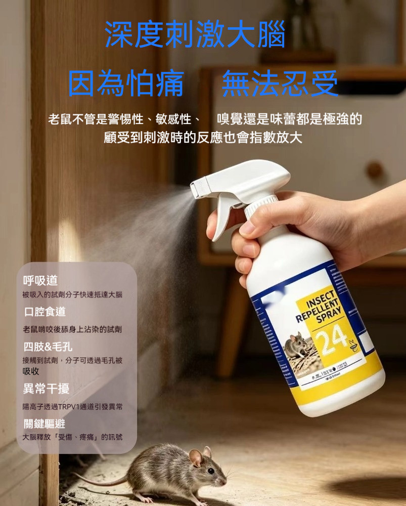 8_fix1779189879.jpg