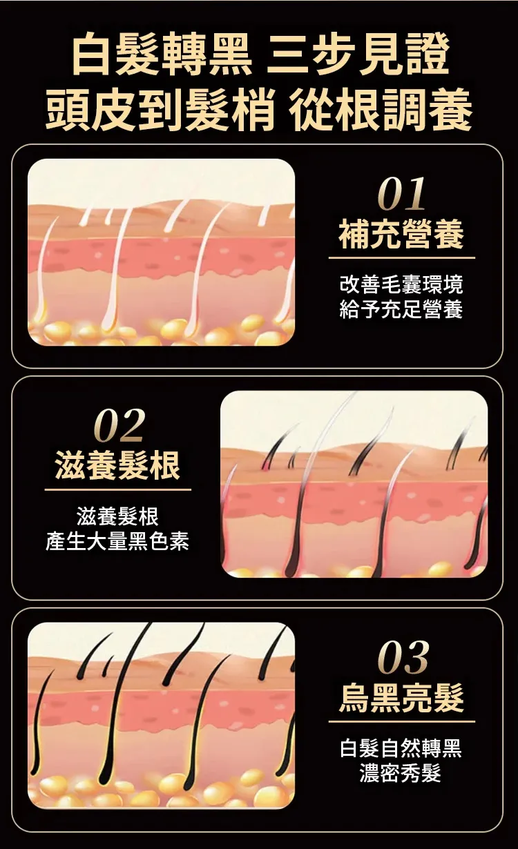 14.webp