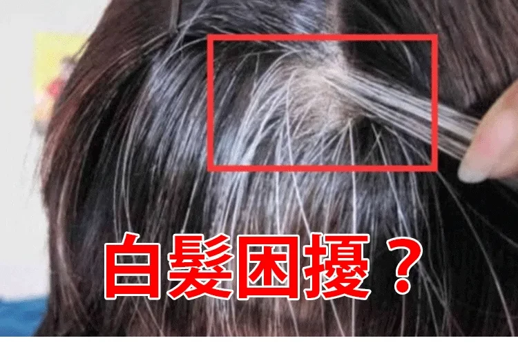 1.webp