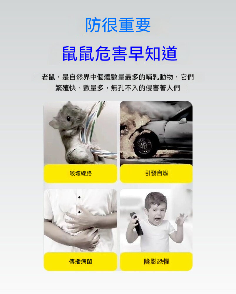 2_fix1779189825.jpg