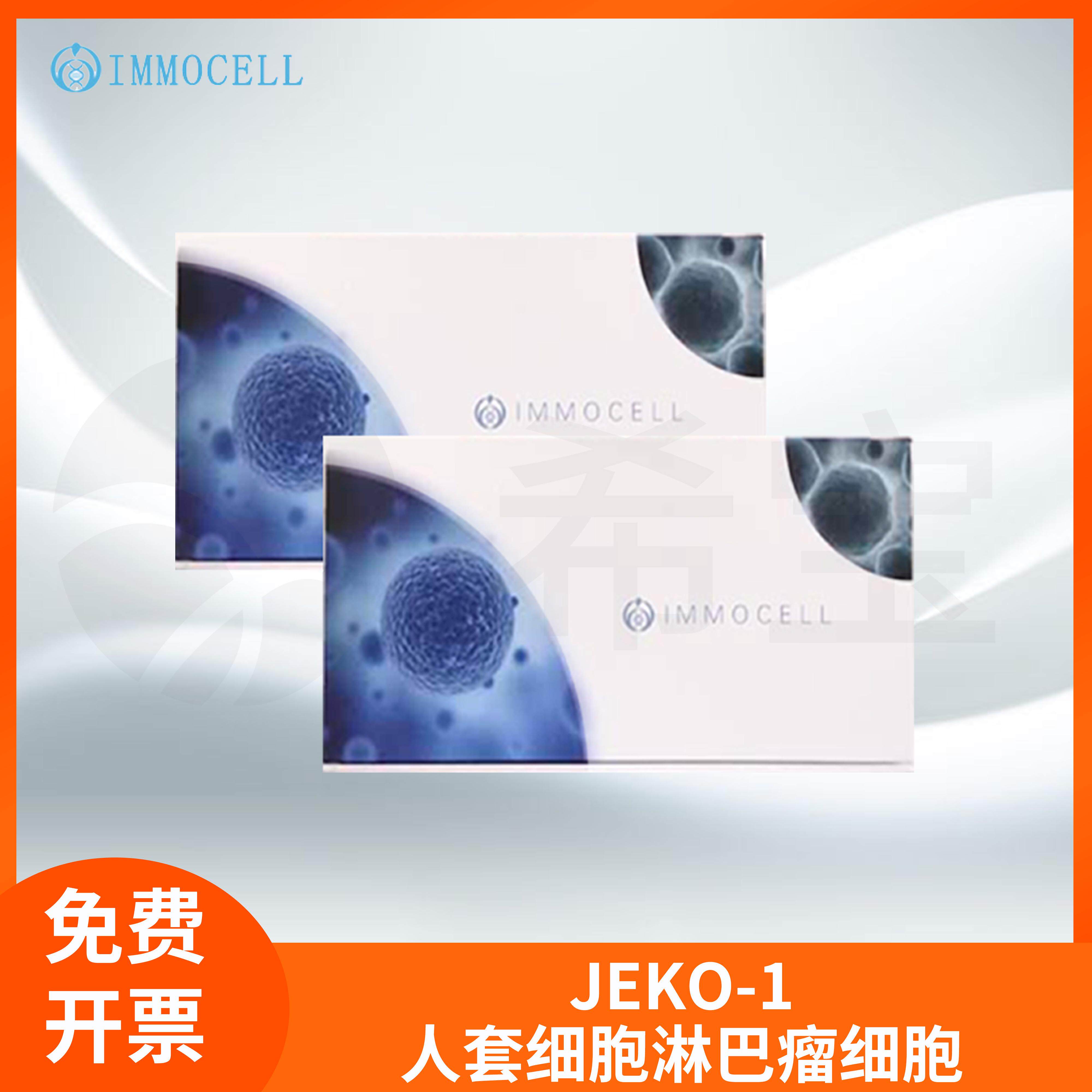 Jeko-1人套细胞淋巴瘤细胞(STR鉴定正确)Jeko-1 JEKO-1 Jeko1逸漠