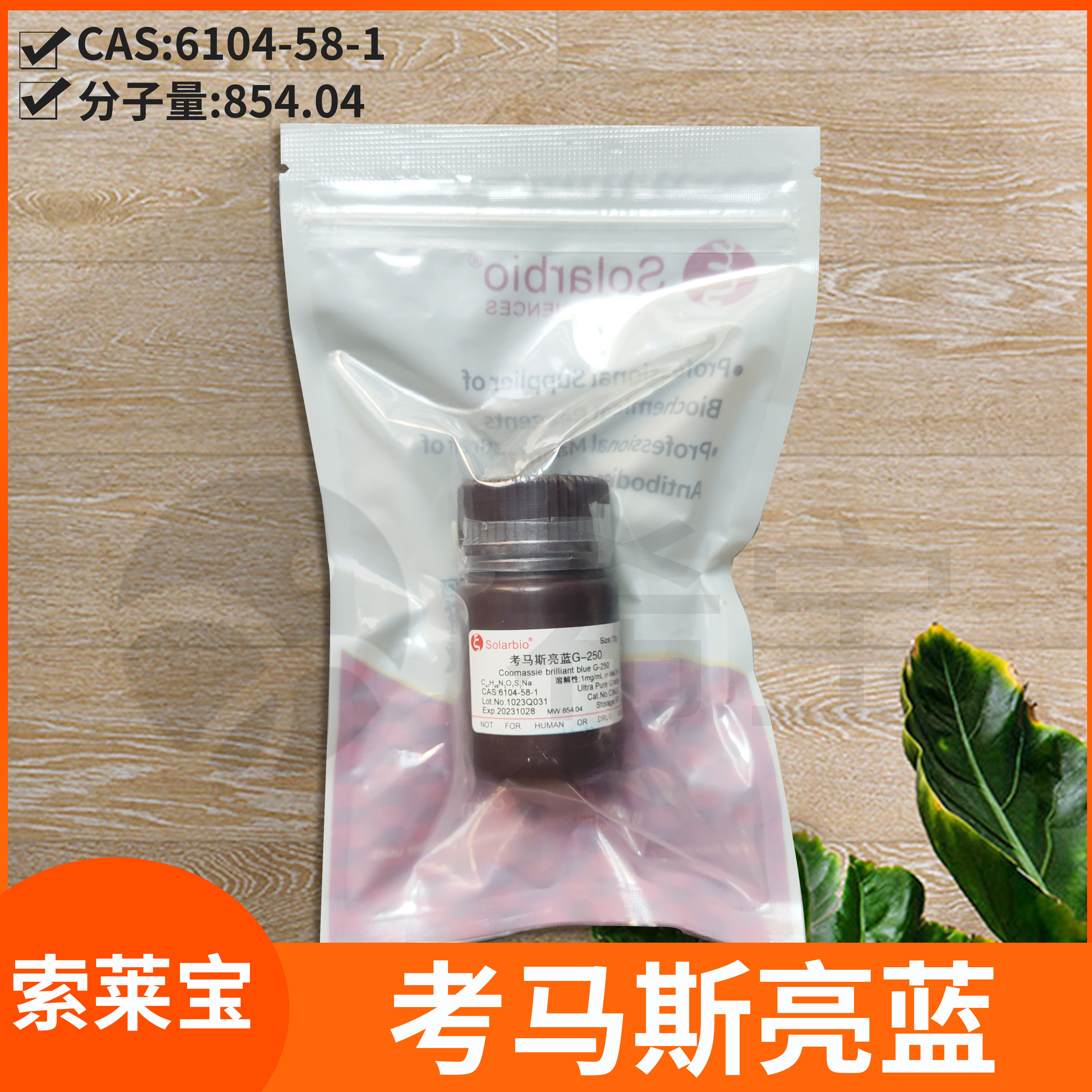 Solarbio索莱宝coomassie考马斯亮蓝G-250/R-250染色液染色试剂