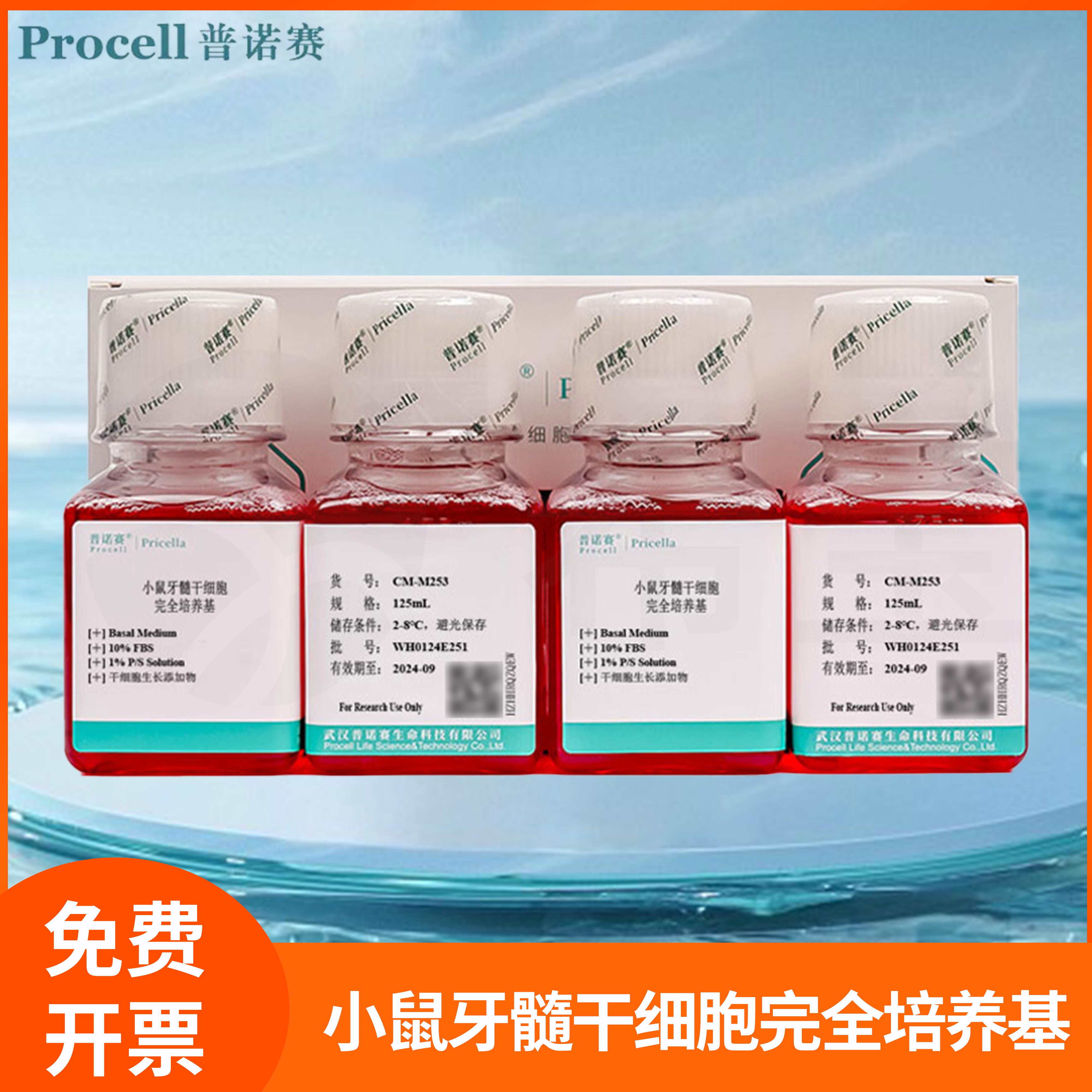 小鼠牙髓干细胞完全培养基牙髓干细胞体外生长基础培养液普诺赛