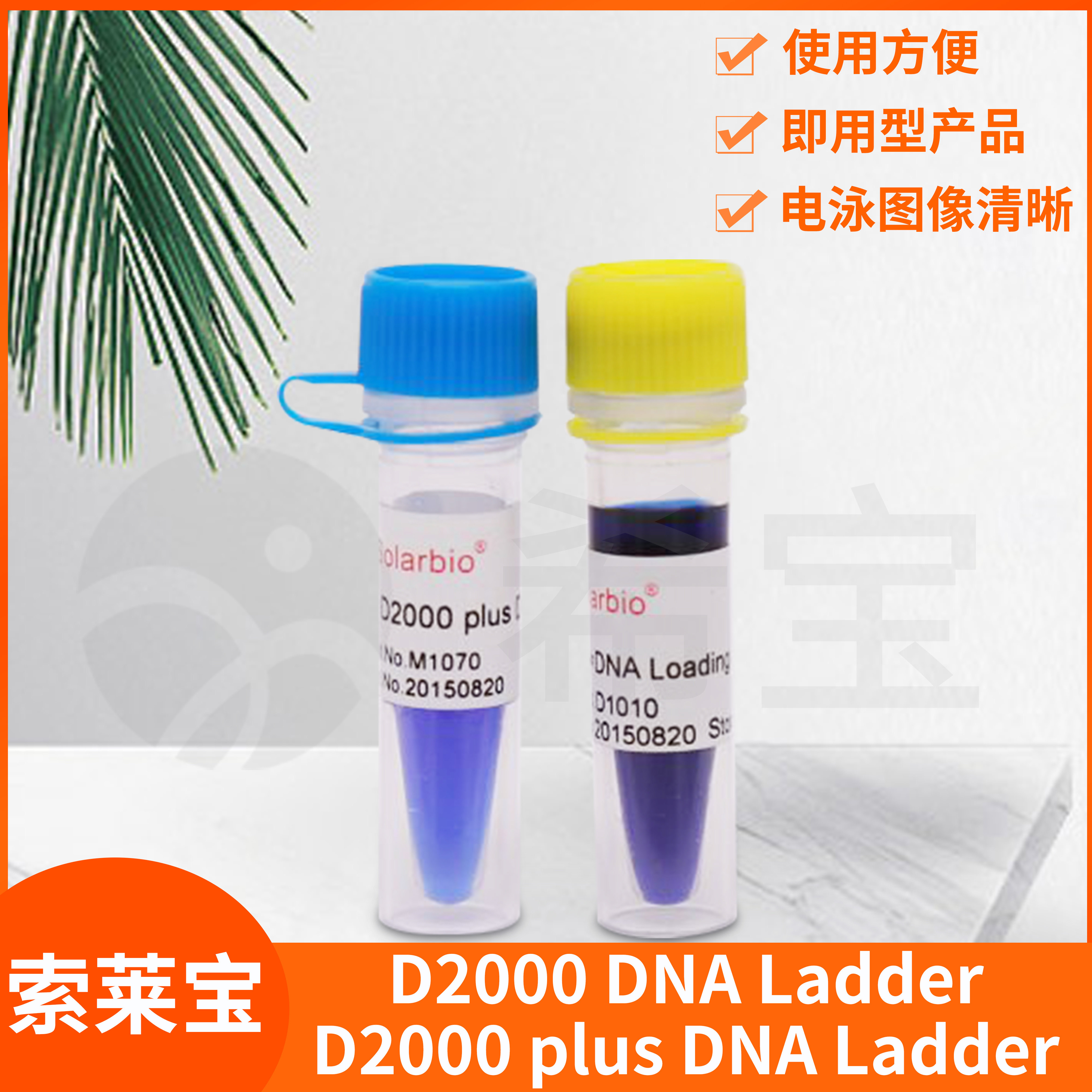 Solarbio索莱宝D2000 plus DNA Ladder琼脂糖凝胶电泳DNA条带分析