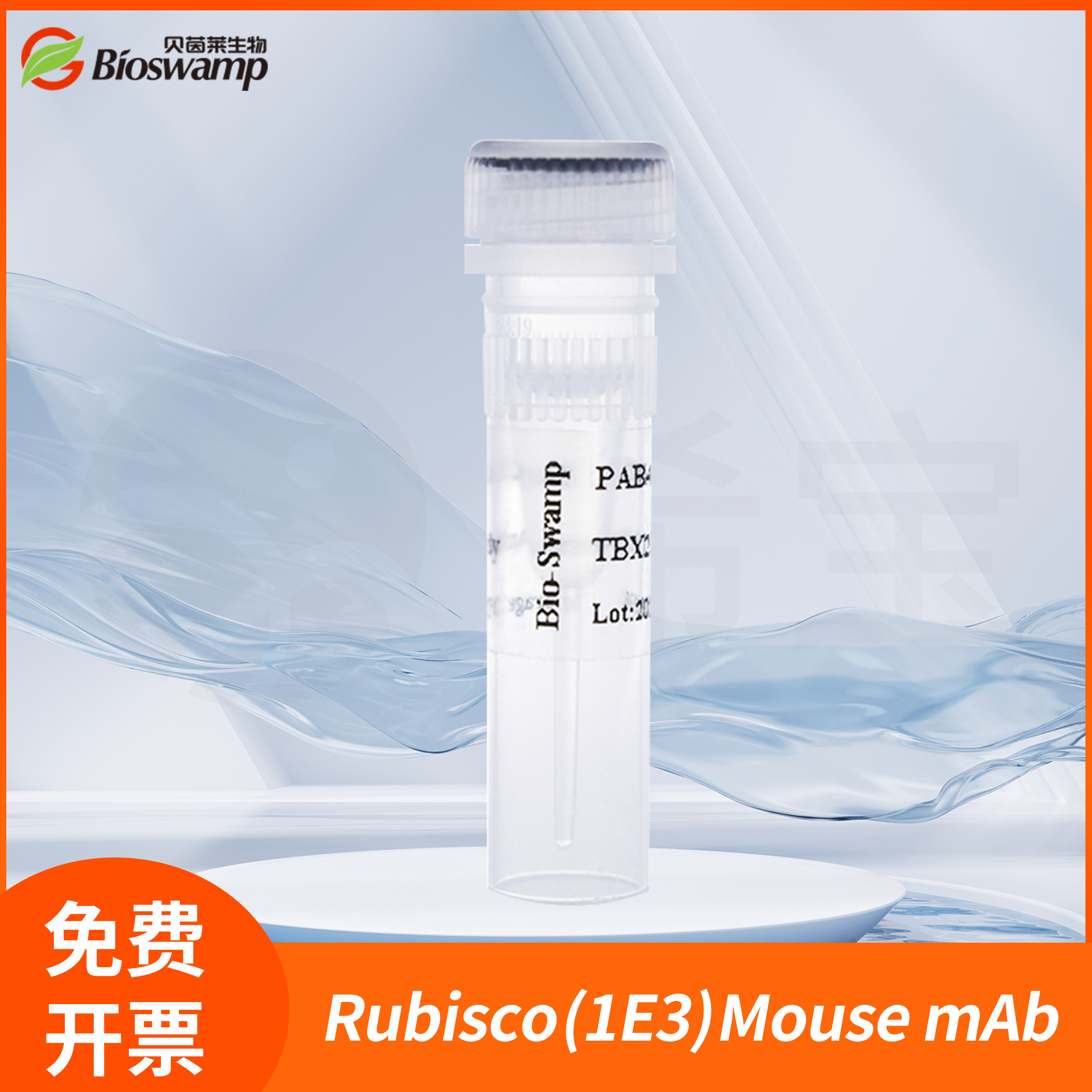 Bioswamp/贝茵莱Rubisco (1E3) Mouse mAb内参抗体MAB50907