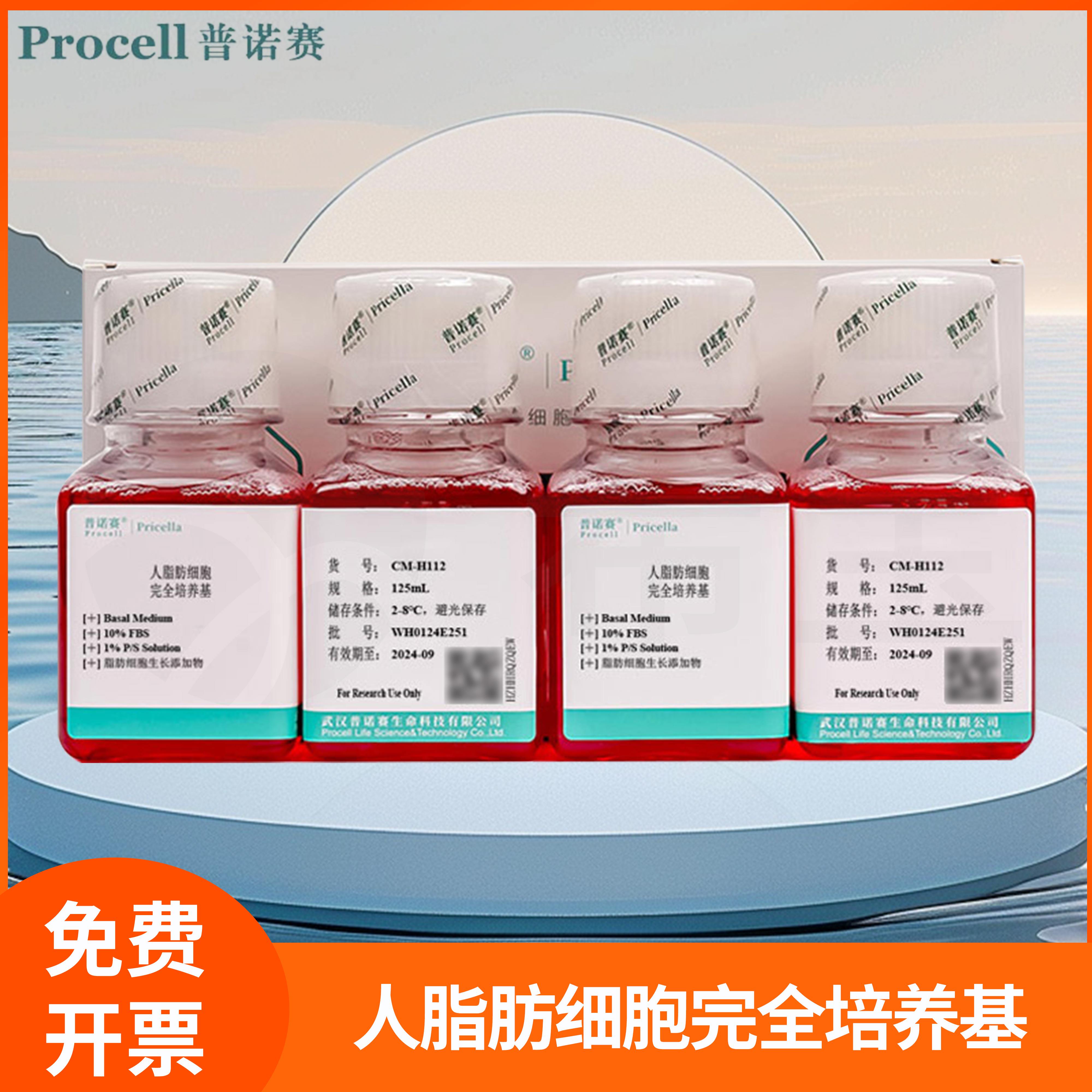 普诺赛人脂肪细胞体外培养溶液Basal Medium人脂肪细胞完全培养基